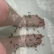 ヒメ日記 2026/03/21 09:17 投稿 さゆり 東京リップ 池袋店