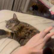 ヒメ日記 2026/03/22 09:07 投稿 さゆり 東京リップ 池袋店