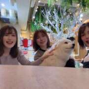 ヒメ日記 2026/03/24 08:17 投稿 さゆり 東京リップ 池袋店