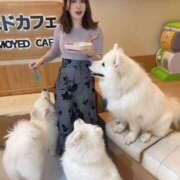 ヒメ日記 2026/03/25 12:07 投稿 さゆり 東京リップ 池袋店