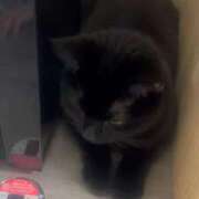 ヒメ日記 2026/03/29 09:07 投稿 さゆり 東京リップ 池袋店