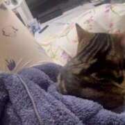 ヒメ日記 2026/04/06 21:09 投稿 さゆり 東京リップ 池袋店