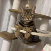 ヒメ日記 2026/04/12 09:18 投稿 さゆり 東京リップ 池袋店