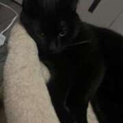 ヒメ日記 2026/04/13 07:17 投稿 さゆり 東京リップ 池袋店