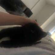 ヒメ日記 2026/04/14 07:07 投稿 さゆり 東京リップ 池袋店