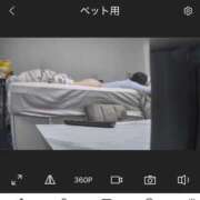 ヒメ日記 2026/04/22 18:09 投稿 さゆり 東京リップ 池袋店