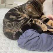 ヒメ日記 2026/04/30 12:09 投稿 さゆり 東京リップ 池袋店