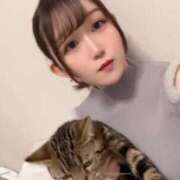 ヒメ日記 2026/09/07 12:17 投稿 さゆり 東京リップ 池袋店