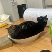 ヒメ日記 2026/09/18 13:07 投稿 さゆり 東京リップ 池袋店