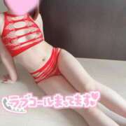 ヒメ日記 2024/12/29 14:16 投稿 アキ 155