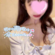 ヒメ日記 2025/03/12 09:33 投稿 せな 彼女の部屋本店