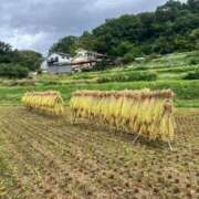 ヒメ日記 2024/09/23 21:32 投稿 白石優里(しらいしゆうり) 東京ヒストリー　秘密の約束