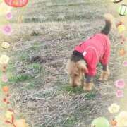 ヒメ日記 2025/01/06 20:22 投稿 白石優里(しらいしゆうり) 東京ヒストリー　秘密の約束