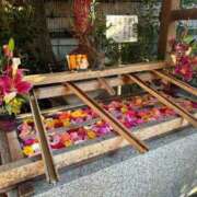 ヒメ日記 2025/02/26 23:52 投稿 白石優里(しらいしゆうり) 東京ヒストリー　秘密の約束