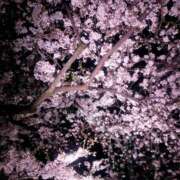 ヒメ日記 2025/04/02 23:12 投稿 白石優里(しらいしゆうり) 東京ヒストリー　秘密の約束