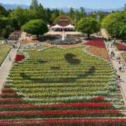 ヒメ日記 2025/05/12 11:52 投稿 白石優里(しらいしゆうり) 東京ヒストリー　秘密の約束