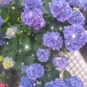 ヒメ日記 2025/06/14 23:42 投稿 白石優里(しらいしゆうり) 東京ヒストリー　秘密の約束