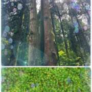 ヒメ日記 2025/07/14 17:03 投稿 白石優里(しらいしゆうり) 東京ヒストリー　秘密の約束