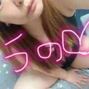 ヒメ日記 2026/04/01 09:03 投稿 うの 熟女の風俗最終章 立川店