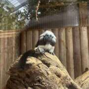 ヒメ日記 2025/08/08 11:09 投稿 ゆか スピード梅田店