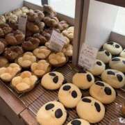 ヒメ日記 2026/06/23 13:22 投稿 ゆか スピード梅田店