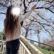 ヒメ日記 2025/04/11 23:05 投稿 高瀬　あゆみ ZENITH spa（ゼニススパ）