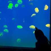 ヒメ日記 2025/07/10 08:14 投稿 愛唯(あい)  本物の【美と快楽】は永遠 美魔女コレクション