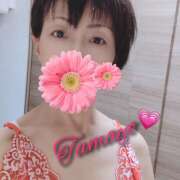 ヒメ日記 2025/03/29 14:40 投稿 草刈たまよ 色気あるワイフ