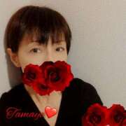 ヒメ日記 2025/11/29 00:00 投稿 草刈たまよ 色気あるワイフ