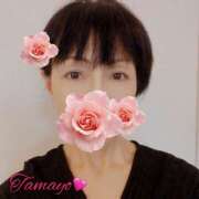 ヒメ日記 2025/12/14 13:04 投稿 草刈たまよ 色気あるワイフ