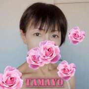 ヒメ日記 2026/02/12 12:09 投稿 草刈たまよ 色気あるワイフ