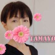 ヒメ日記 2026/02/13 13:25 投稿 草刈たまよ 色気あるワイフ