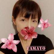 草刈たまよ 2/22 色気あるワイフ