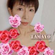 ヒメ日記 2026/02/28 10:01 投稿 草刈たまよ 色気あるワイフ