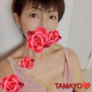 ヒメ日記 2026/03/12 10:13 投稿 草刈たまよ 色気あるワイフ