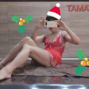 ヒメ日記 2024/12/24 10:27 投稿 草刈たまよ ワイフコレクション