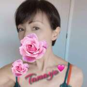 ヒメ日記 2025/05/29 18:17 投稿 草刈たまよ ワイフコレクション