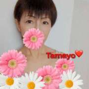 ヒメ日記 2025/08/18 11:05 投稿 草刈たまよ ワイフコレクション