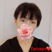 ヒメ日記 2025/10/15 07:35 投稿 草刈たまよ ワイフコレクション