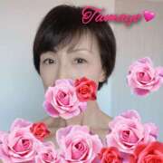 草刈たまよ 12/3() ワイフコレクション