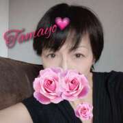 ヒメ日記 2025/12/21 07:12 投稿 草刈たまよ ワイフコレクション