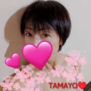 ヒメ日記 2026/01/07 09:25 投稿 草刈たまよ ワイフコレクション