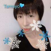 ヒメ日記 2026/01/08 16:32 投稿 草刈たまよ ワイフコレクション