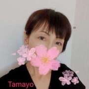 ヒメ日記 2026/01/12 02:31 投稿 草刈たまよ ワイフコレクション