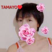 ヒメ日記 2026/01/29 02:56 投稿 草刈たまよ ワイフコレクション