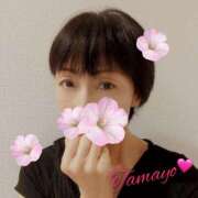 ヒメ日記 2026/02/01 17:04 投稿 草刈たまよ ワイフコレクション