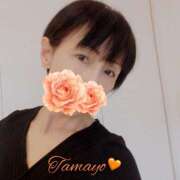 ヒメ日記 2026/02/04 10:18 投稿 草刈たまよ ワイフコレクション