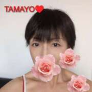 ヒメ日記 2026/02/25 13:46 投稿 草刈たまよ ワイフコレクション