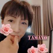 ヒメ日記 2026/02/27 20:35 投稿 草刈たまよ ワイフコレクション