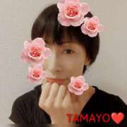 ヒメ日記 2026/03/05 09:15 投稿 草刈たまよ ワイフコレクション